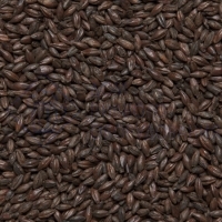 Солод Roasted Barley, (кг), от 5 кг. Bavaria